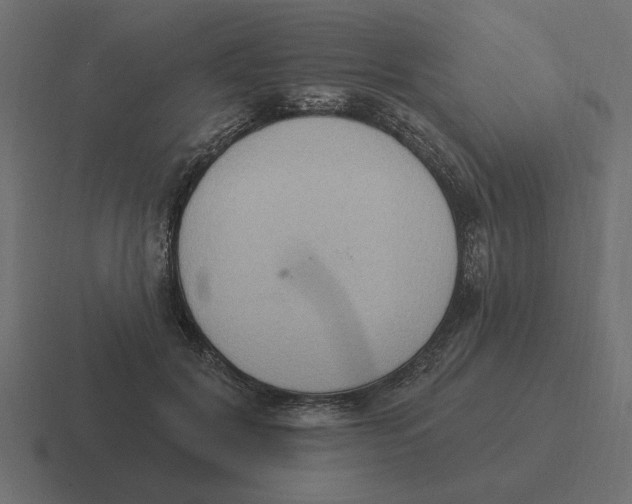 X0000116510604200912292146