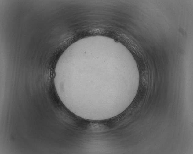 X0000116510605200912292146