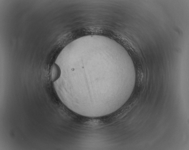 X0000116510609200912292145