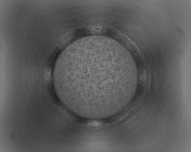 X0000116510610200912292145