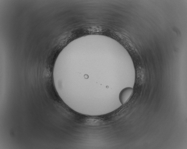 X0000116510614200912292145