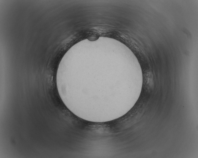 X0000116510615200912292145