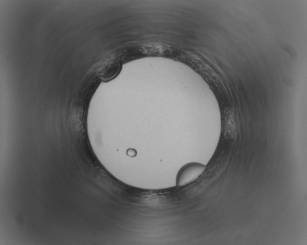 X0000116510616200912292145