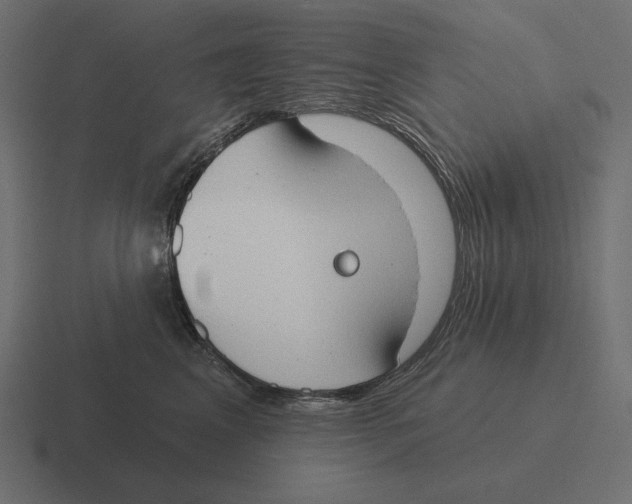 X0000116510617200912292145