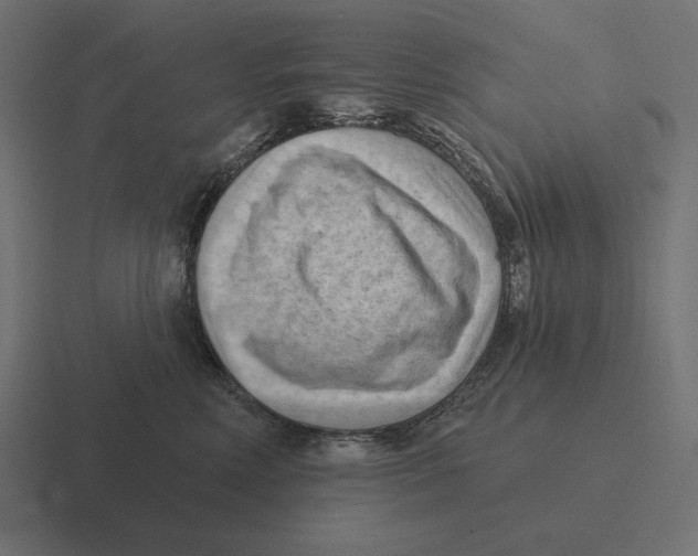 X0000116510618200912292145