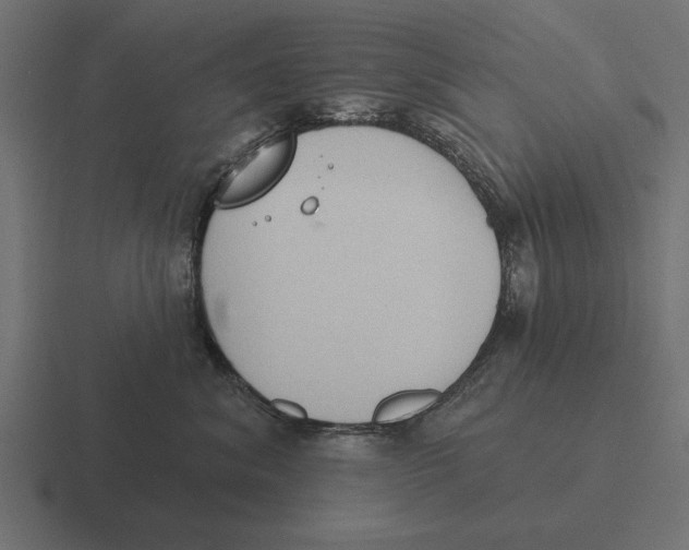 X0000116510620200912292145