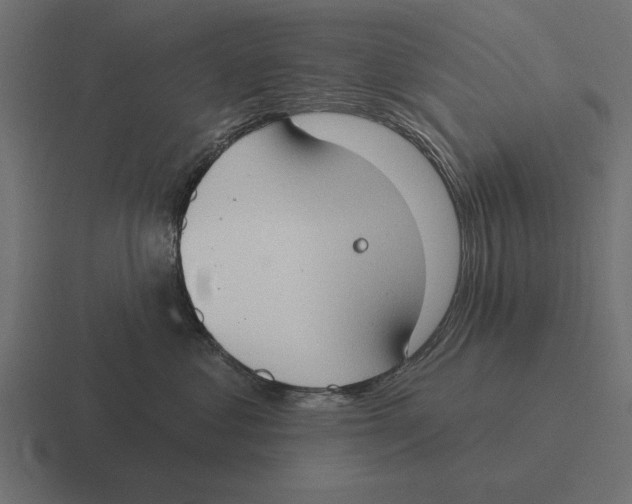 X0000116510621200912292145