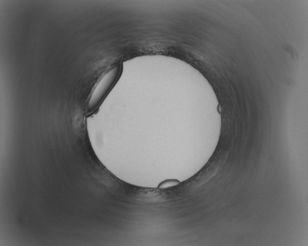 X0000116510624200912292145