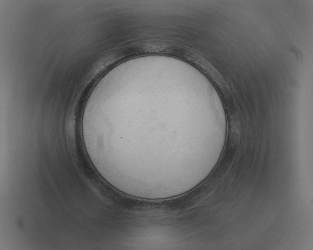 X0000116510626200912292145