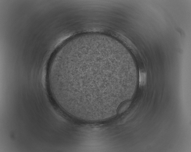 X0000116510627200912292145