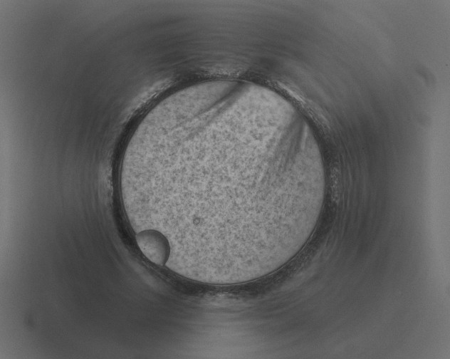 X0000116510634200912292145