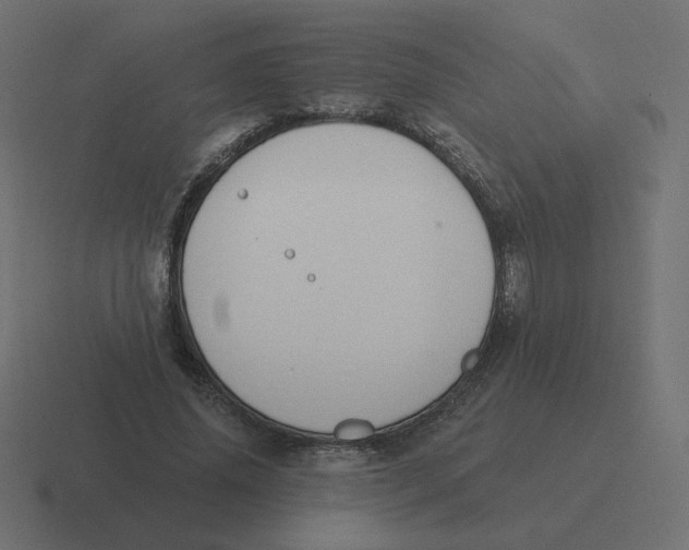 X0000116510636200912292145