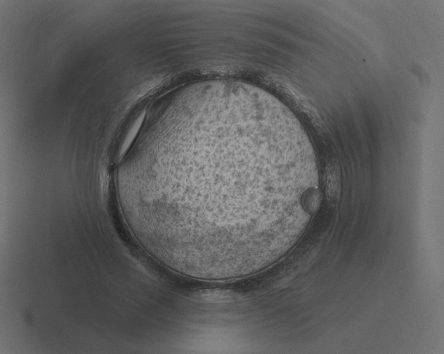 X0000116510637200912292145