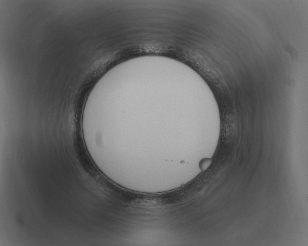 X0000116510639200912292145