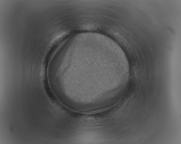 X0000116510640200912292145