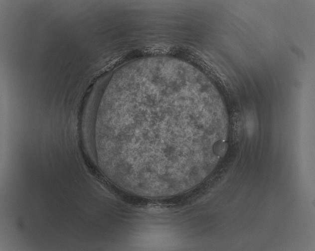 X0000116510641200912292145