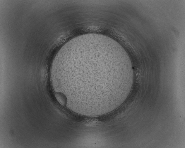 X0000116510642200912292145