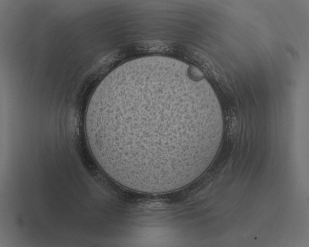 X0000116510643200912292145