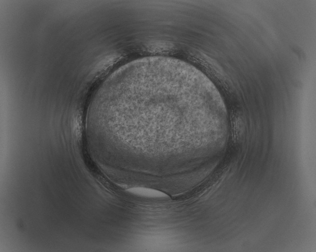 X0000116510644200912292145