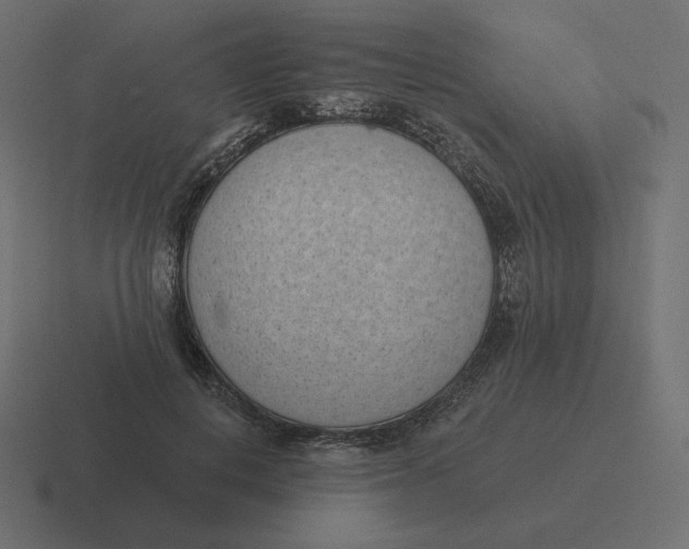 X0000116510648200912292145