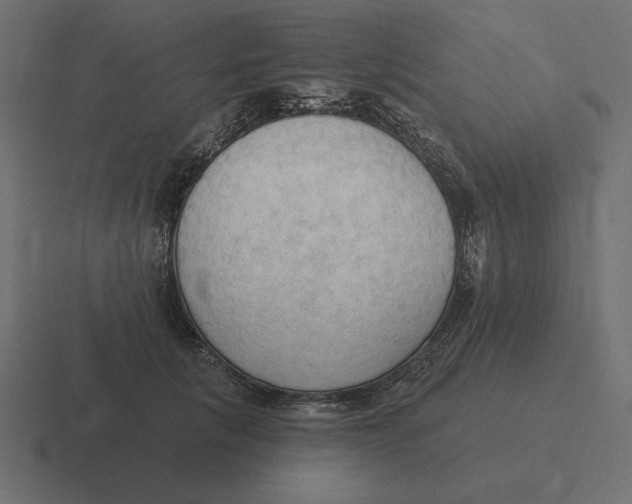 X0000116510657200912292145