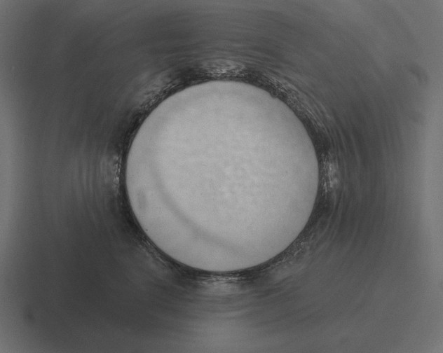 X0000116510664200912292145