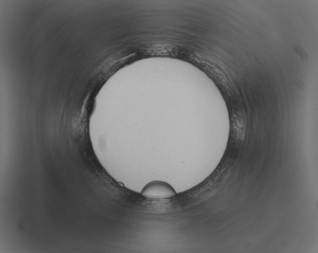 X0000116510665200912292145