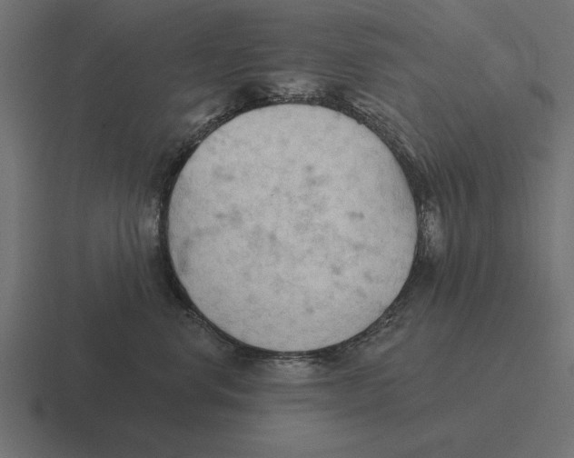 X0000116510668200912292145