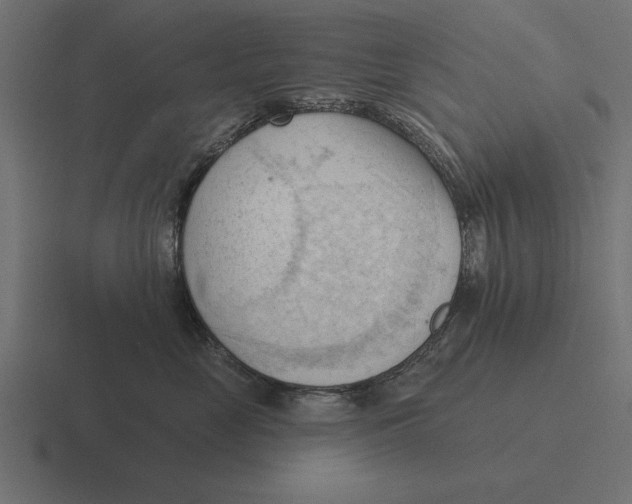 X0000116510669200912292145