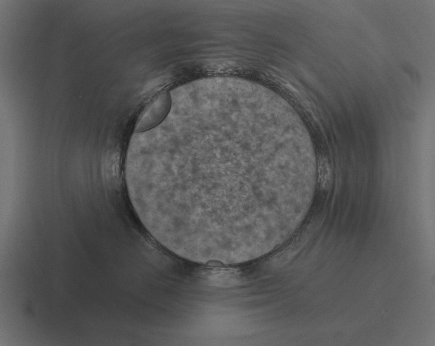 X0000116510670200912292145