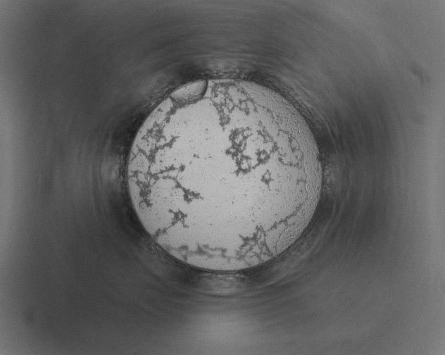 X0000116510671200912292145