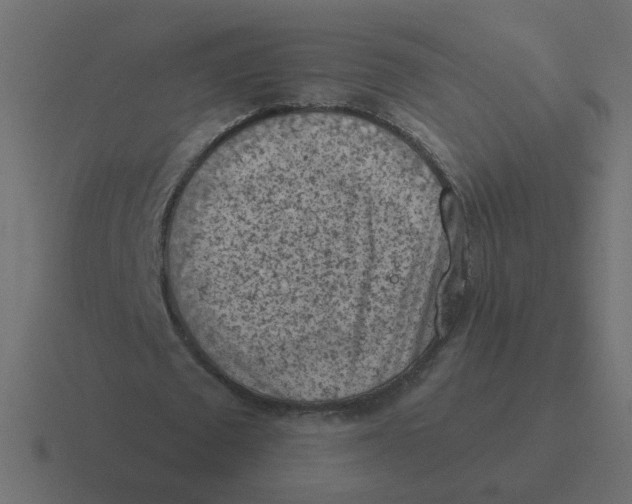 X0000116510673200912292145