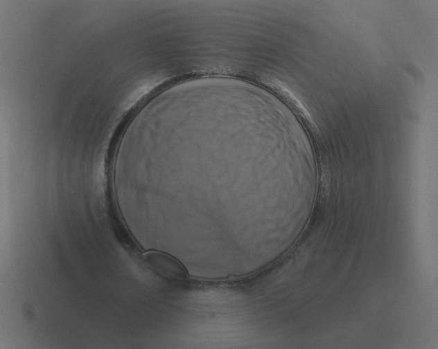 X0000116510674200912292145