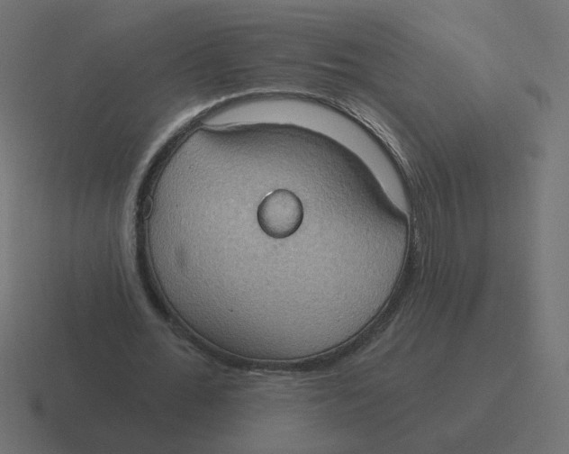 X0000116510676200912292145