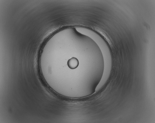 X0000116510677200912292145