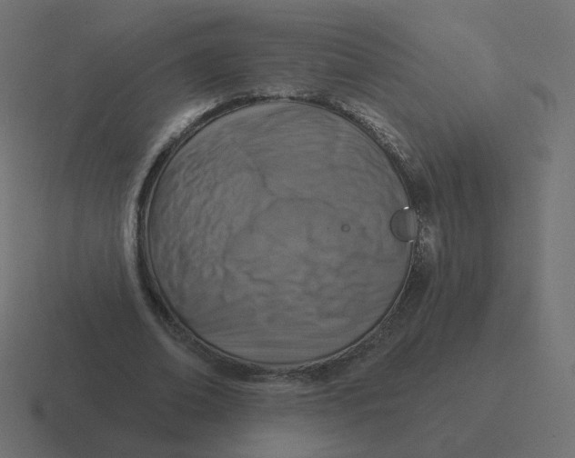 X0000116510678200912292145