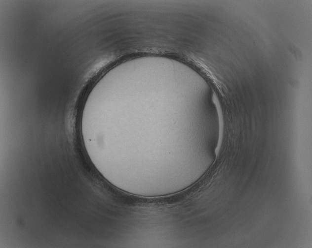 X0000116510679200912292145