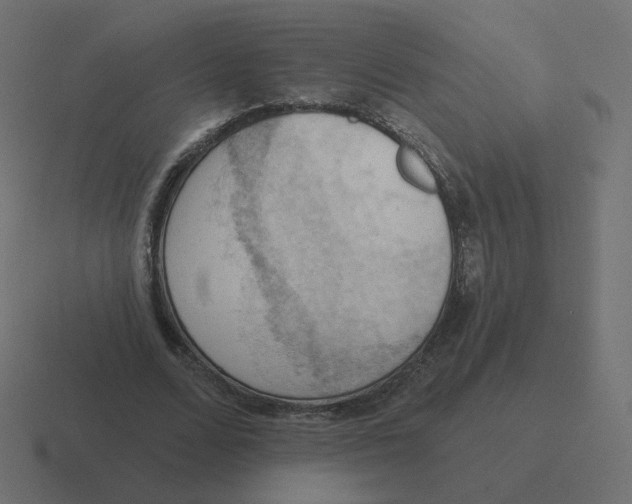 X0000116510680200912292145