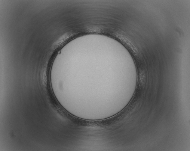 X0000116510682200912292145