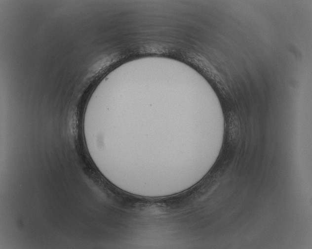 X0000116510683200912292145