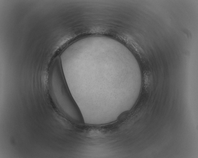 X0000116510684200912292145