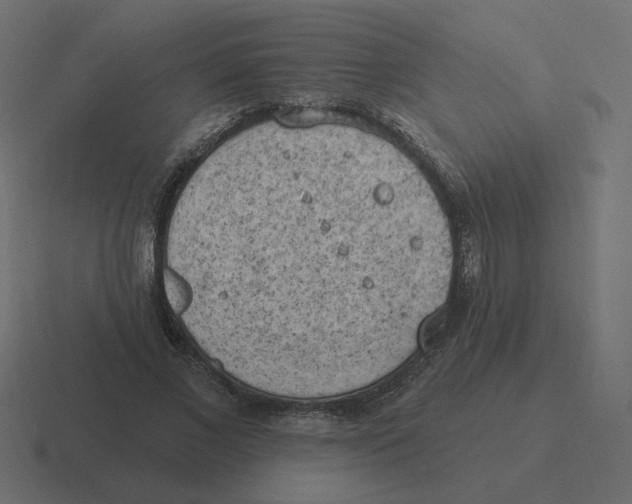 X0000116510685200912292145