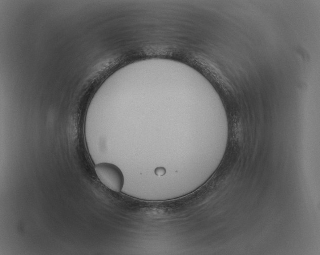 X0000116510687200912292144