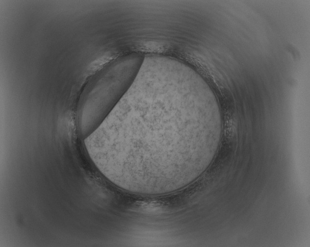 X0000116510688200912292144