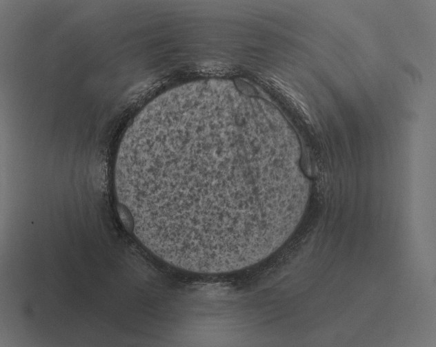 X0000116510689200912292144