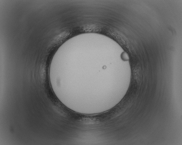 X0000116510690200912292144