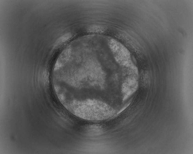 X0000116510692200912292144