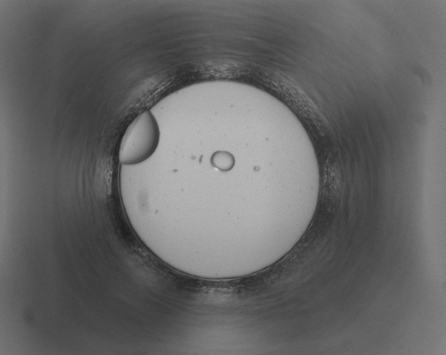 X0000116510694200912292144