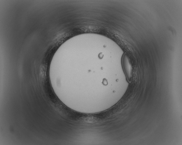 X0000116510695200912292144