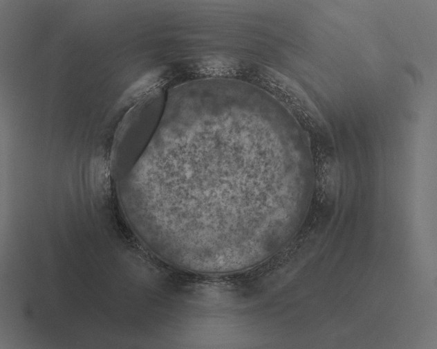 X0000116510696200912292144